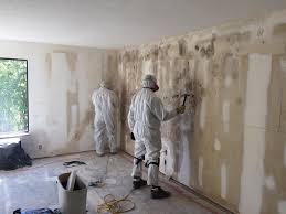 Mold Documentation for Insurance Claims